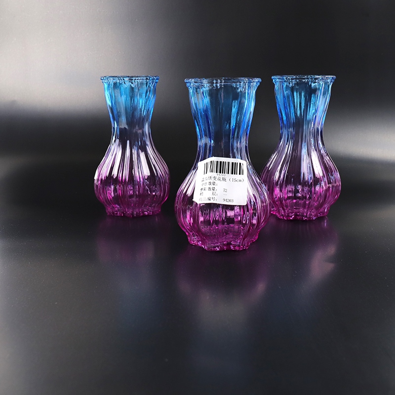 Vase de Gradiente de Ajo (15cm) 4
