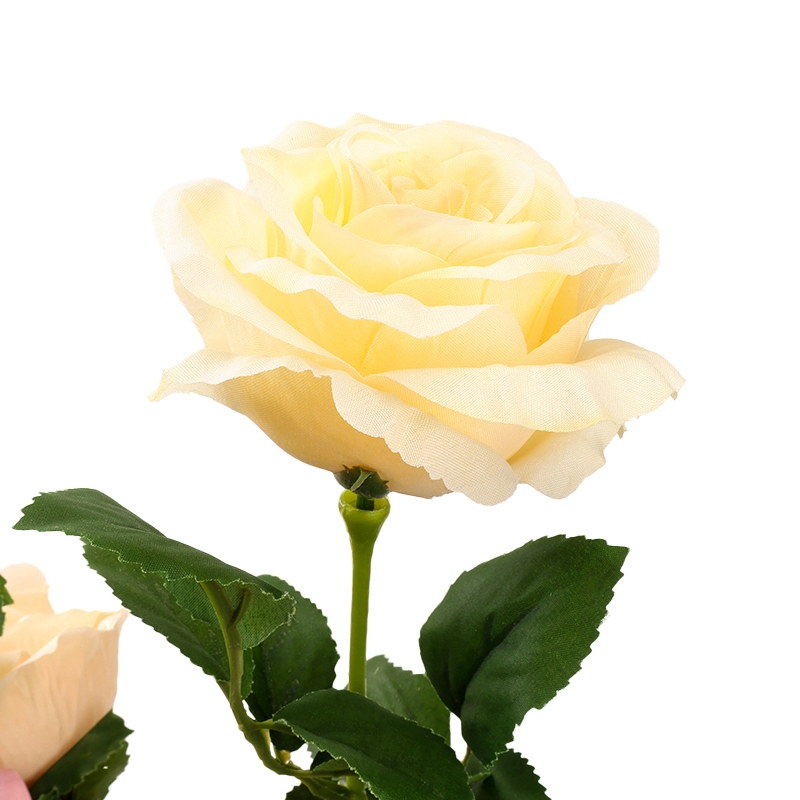 Rosas Mixtas Individuales (Alrededor de 50 Cm) 5