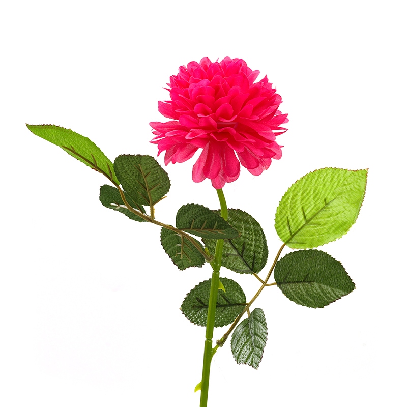 Chrysanthemum de Bola Única (Aproximadamente 48 Cm) 5