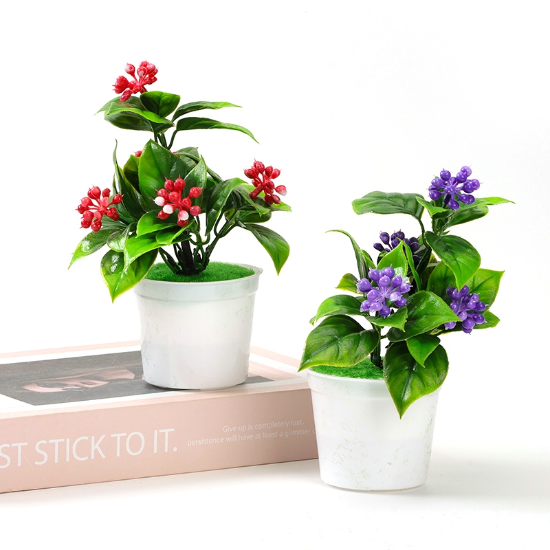 Holly Fruit Bonsai 3