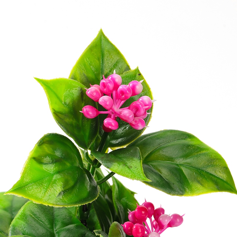 Holly Fruit Bonsai 4