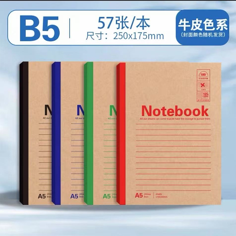 B560 Cowhide Office Flat 2