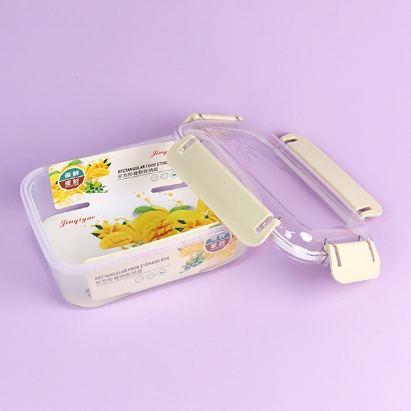 2175 Caja Rectangular de Limpieza 4
