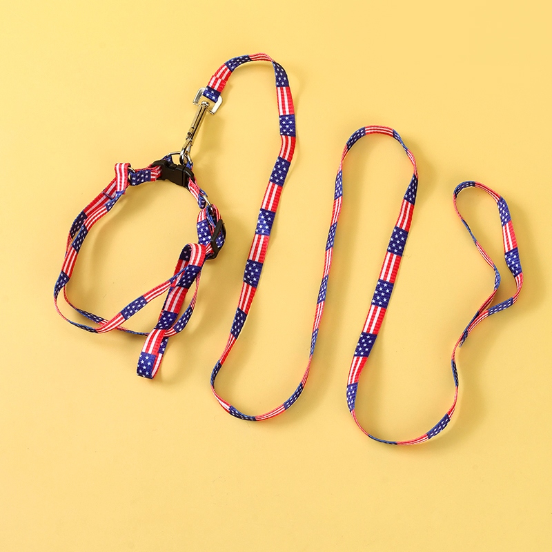 0540 Cuerda de Perro Calico (1.0) 3