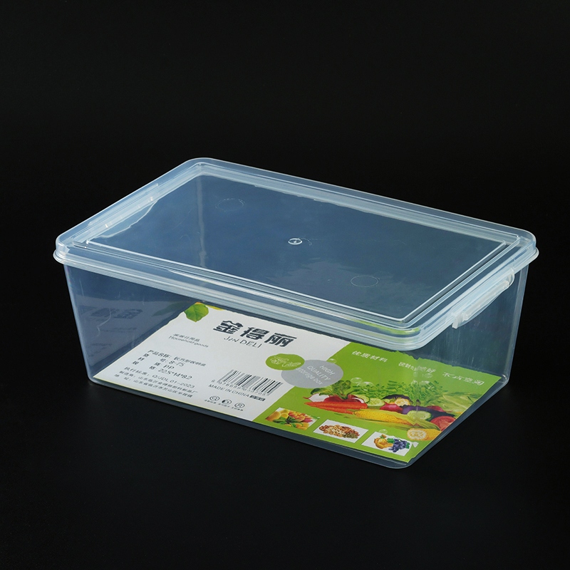 Caja de Almacenamiento Rectangular 8-75 (22.5*14*8.2) 3