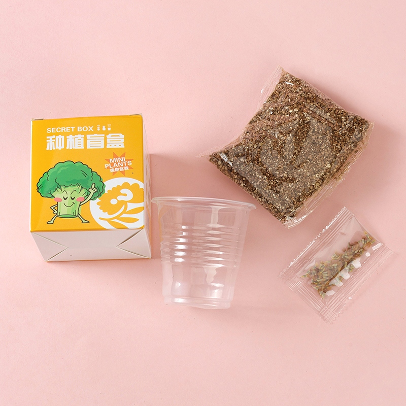 Nueva Pequeña Planta Macedada Caja Ciega 4