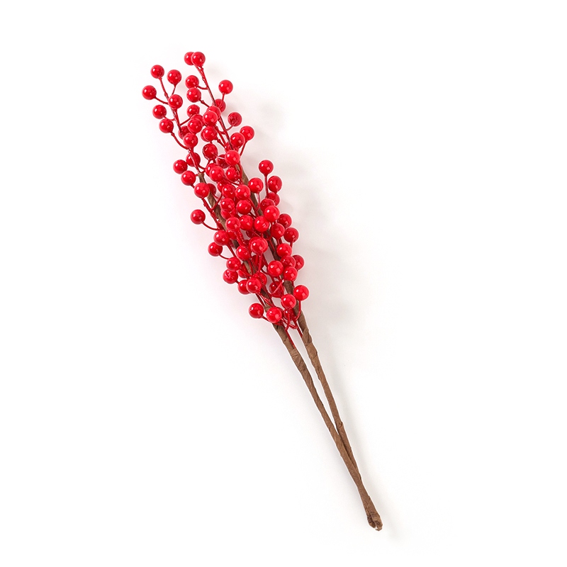 Flor de Judía Roja 3