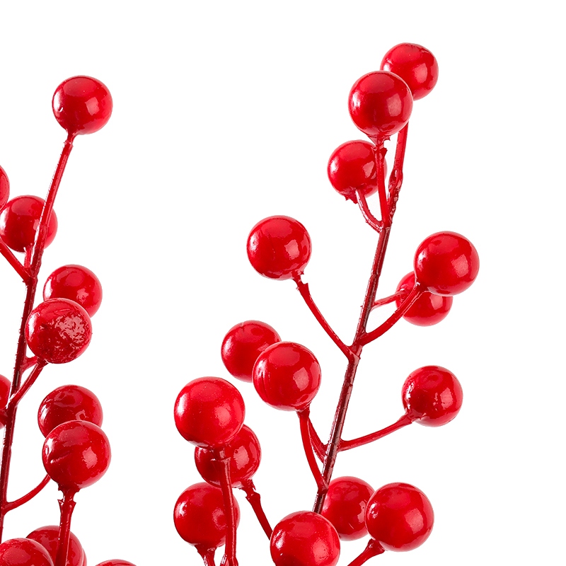 Flor de Judía Roja 4