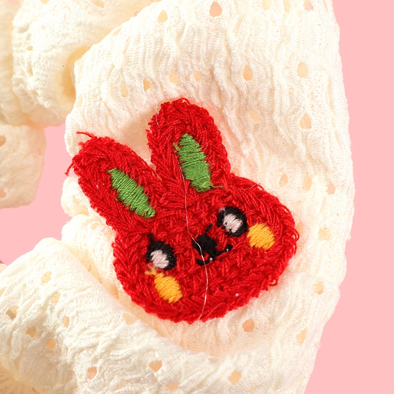 Accesorios de Frutas de Dibujos Bordados Gran Anillo de Intestino 3