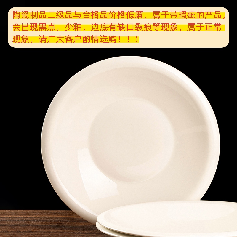 Placa de Porcelana Blanca de 12 Pulgadas Zhengde (Calificada) 2