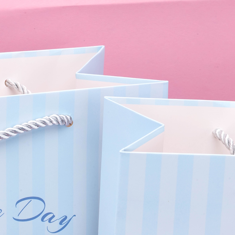 ST512-05 Versión Vertical Grande Happy Day Gift Bag 4