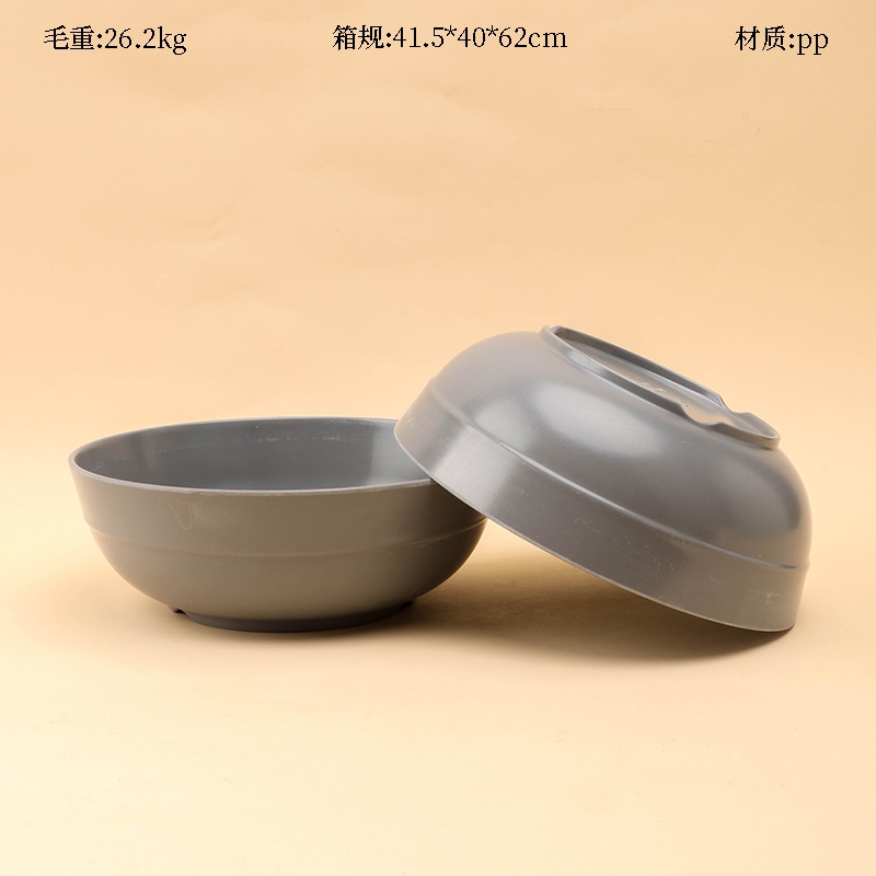 W-01 Tazón de Imitación Porcelana 2