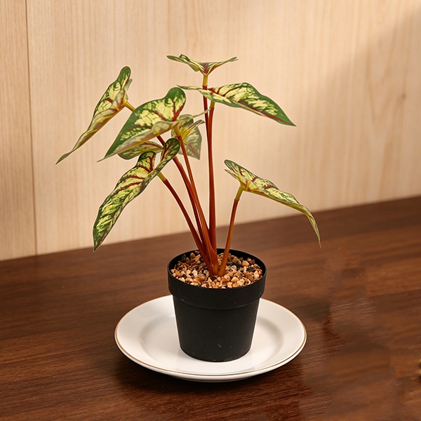 FZ-4-10 Flor de Simulación Bonsai (Color Mezclado) 4