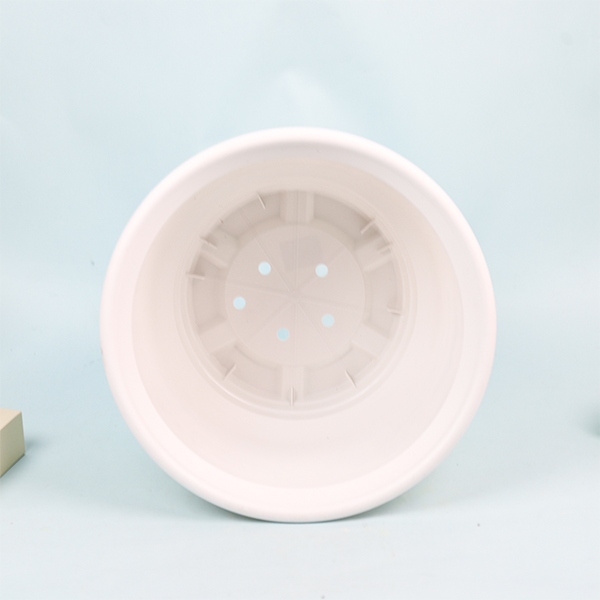 AB530 Maceta de Flor Blanca 3