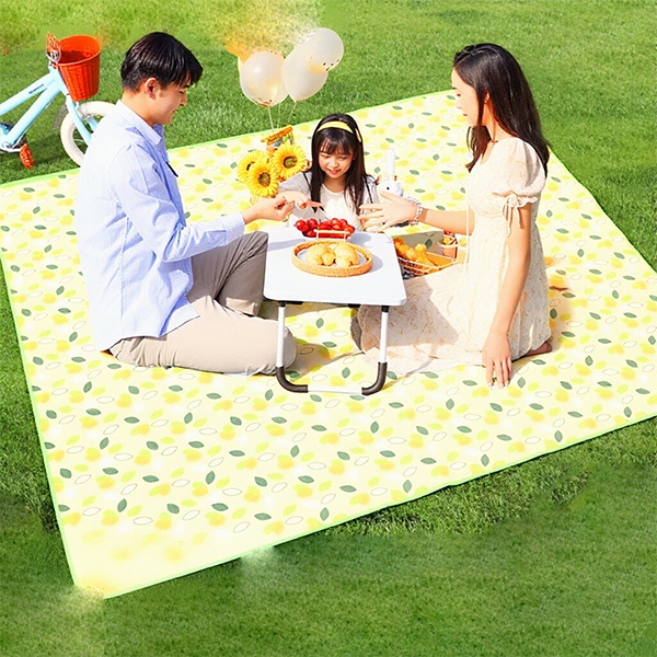 Alfombra de Picnic 200*200 6