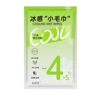 YBJ-9879 Ice Wipes (Green) 2