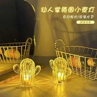 Cactus Night Light 2