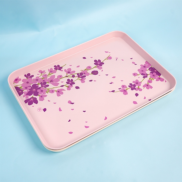 XZ8422 Bandeja Rectangular 14 (Color Mezclado) 3