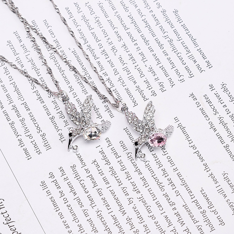 Collar de Aves Perforadoras 4