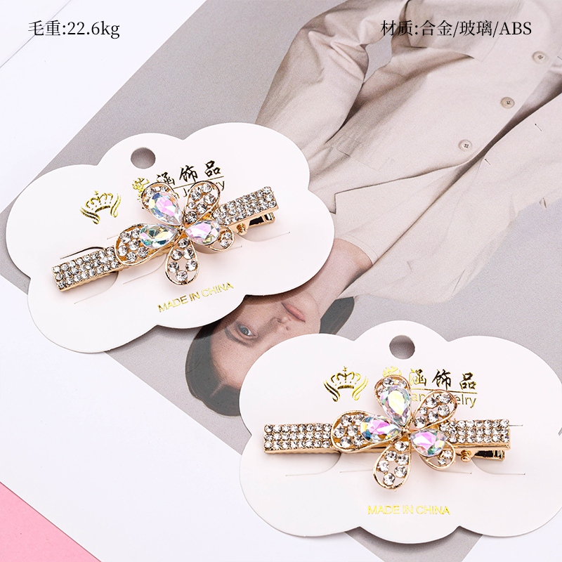 Bagged Zircon Flor Clip 2