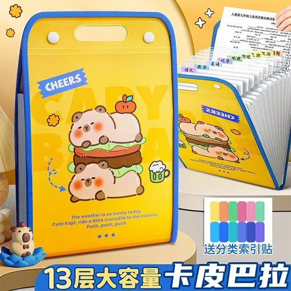 5300-13 Layer Organ Bag 9 (Mixed) 4