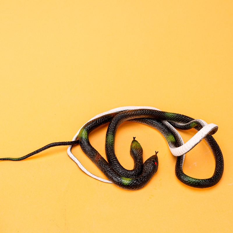 Serpiente de Simulación de Cabeza Redonda (75cm) 3