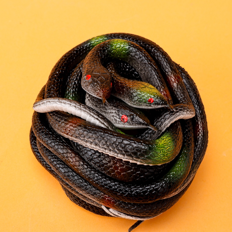 Serpiente de Simulación de Cabeza Redonda (75cm) 4
