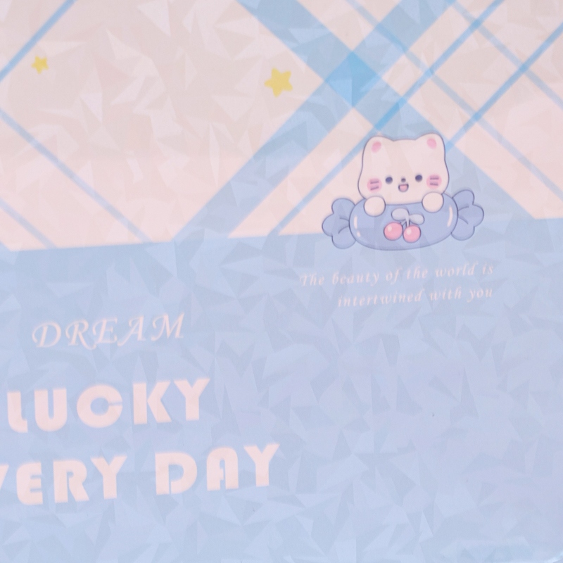 ST600-19 Vertical Medium Lucky Laer Gift Bag 3