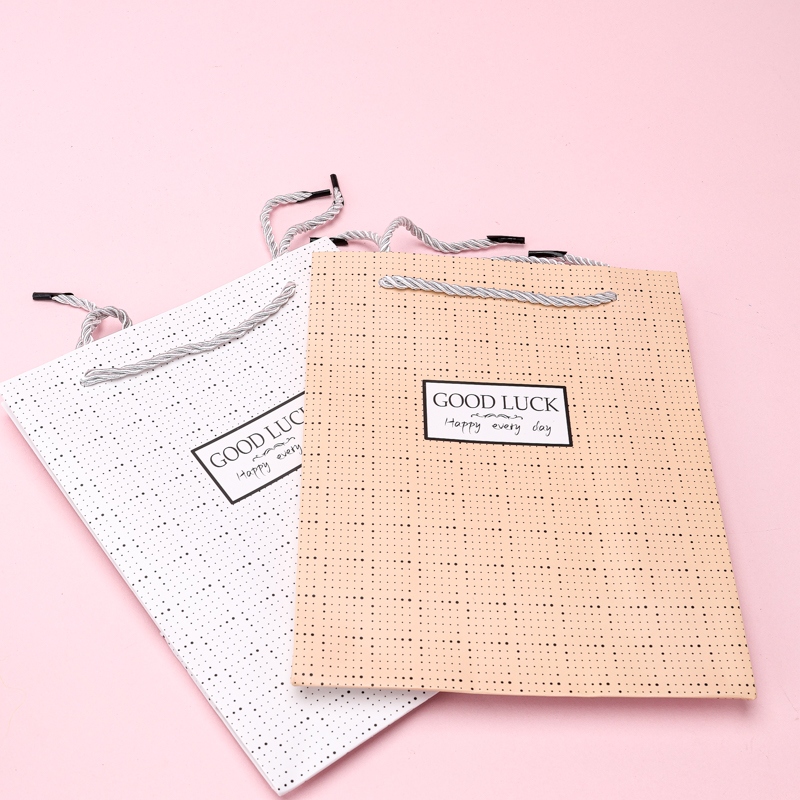 ST602-08 Vertical Medium Square Dot Gift Bag 4