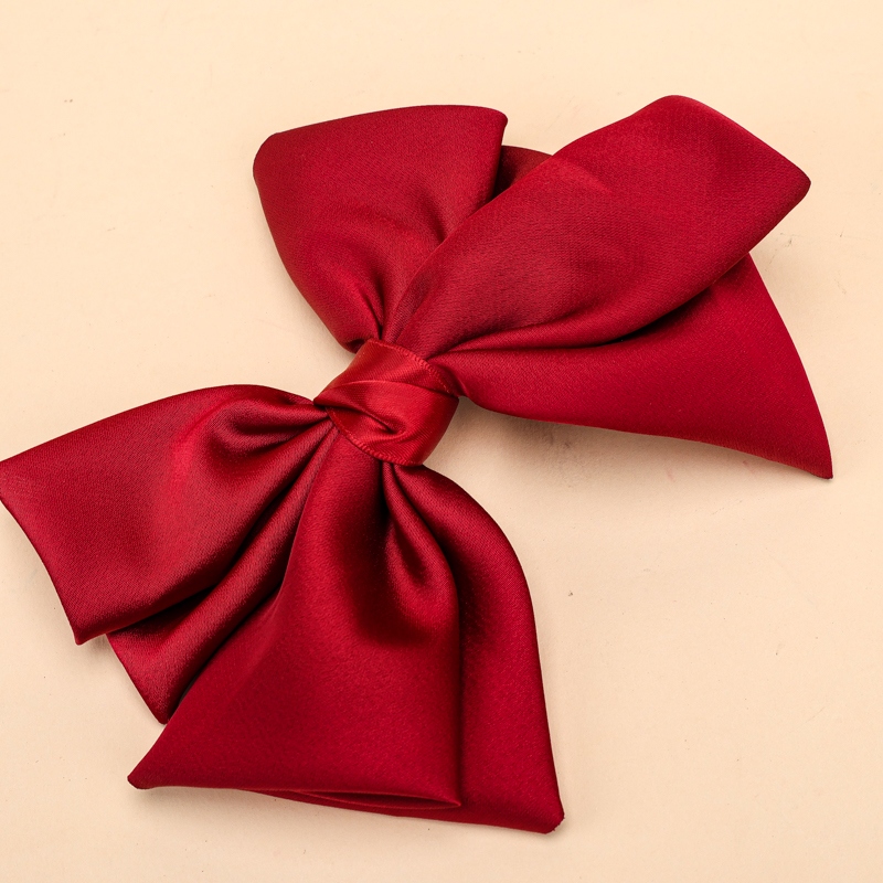 Pocket Monochrome Satin Bow Duck Clip 4