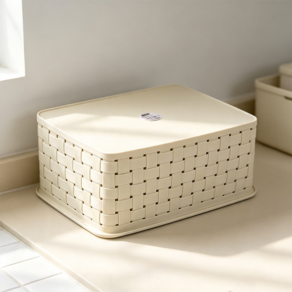 SSF-6140 Caja de Almacenamiento de Rattan (Media) 6