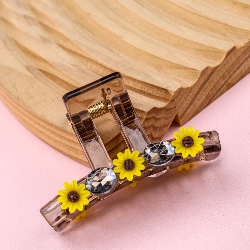 La Caja Con Dos Garras Hacia Girasol 4