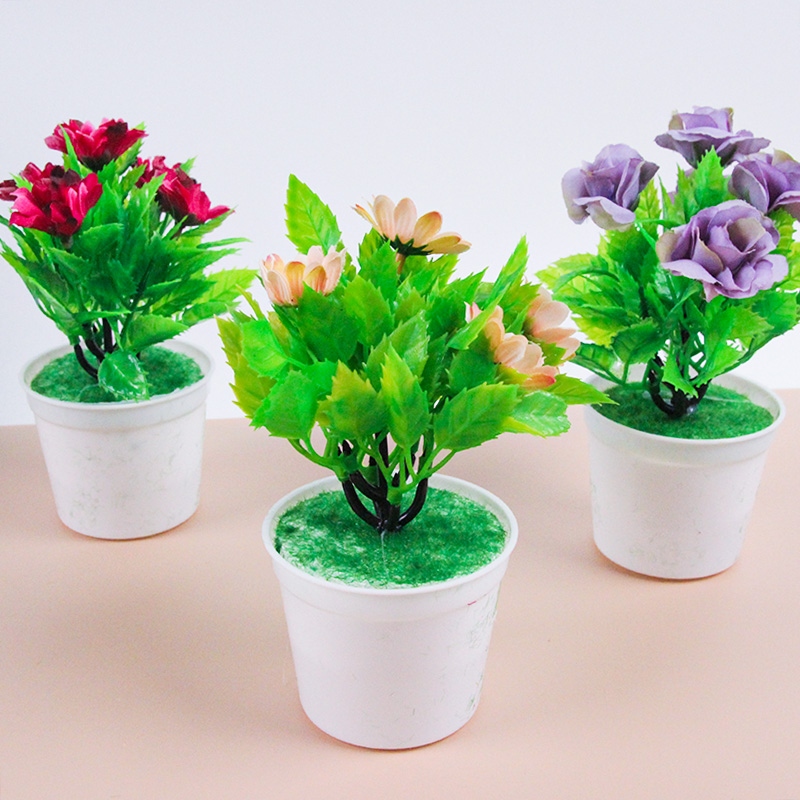 Plantas Fundidas de Miniatura Mixtas