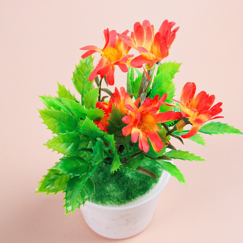 Plantas Fundidas de Miniatura Mixtas 3