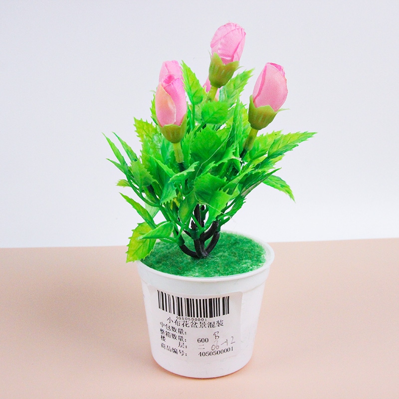 Plantas Fundidas de Miniatura Mixtas 5