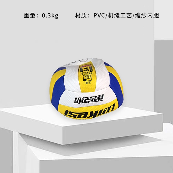 Rex LX-1147 Voleibol (Semi-inflatable) 3