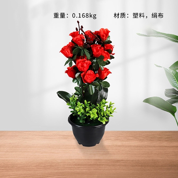 Bonsai de Rosa de Primavera Macizo Negro 3