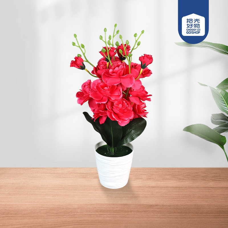 Bonsai de la Flor de la Pata Blanca 2