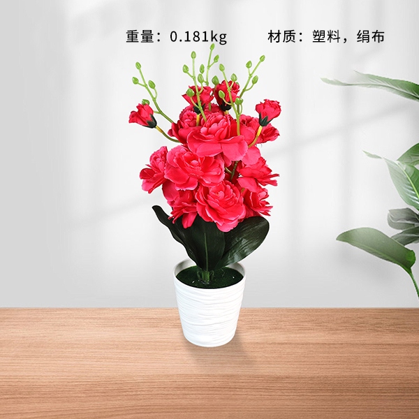 Bonsai de la Flor de la Pata Blanca 3