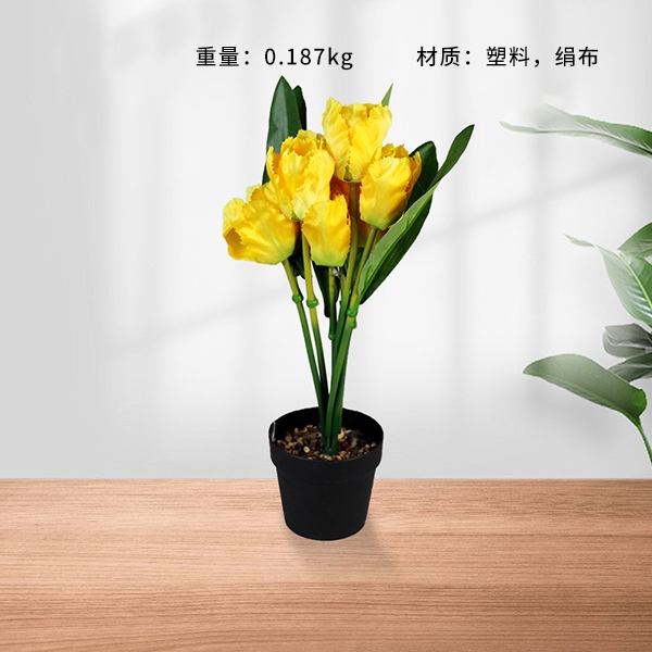 660 Flor Bonsai 3