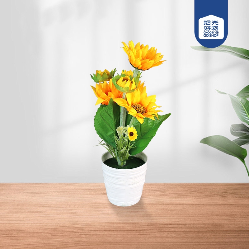9821 Bonsai Girasol