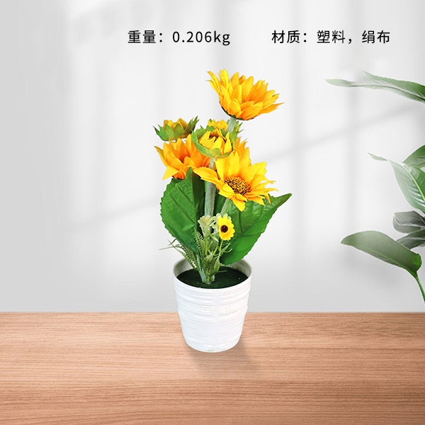 9821 Bonsai Girasol 3