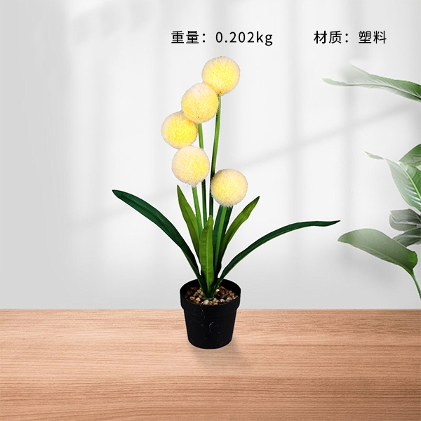 Bonsai de Flores de Bola de Pelo 3
