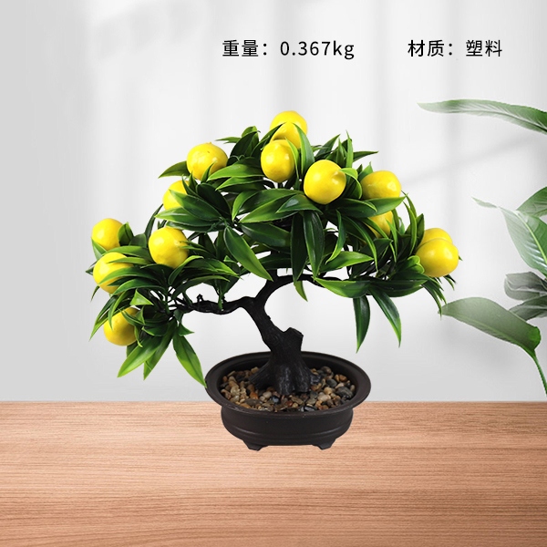 9812 Flor de Árbol de Frutas Bonsai (Mixed) 3