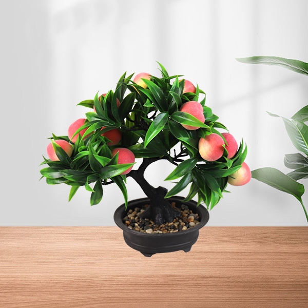 9812 Flor de Árbol de Frutas Bonsai (Mixed) 4
