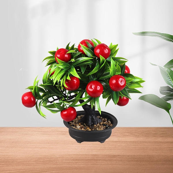 9812 Flor de Árbol de Frutas Bonsai (Mixed) 5