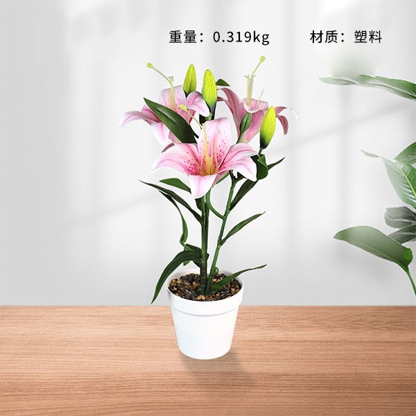 657 Flor Bonsai 3