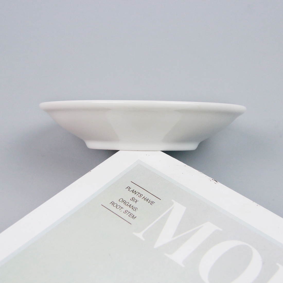 Jingdezhen N11-4 Pulgadas Plato de Sabor (Φ100 X 20mmh) 3