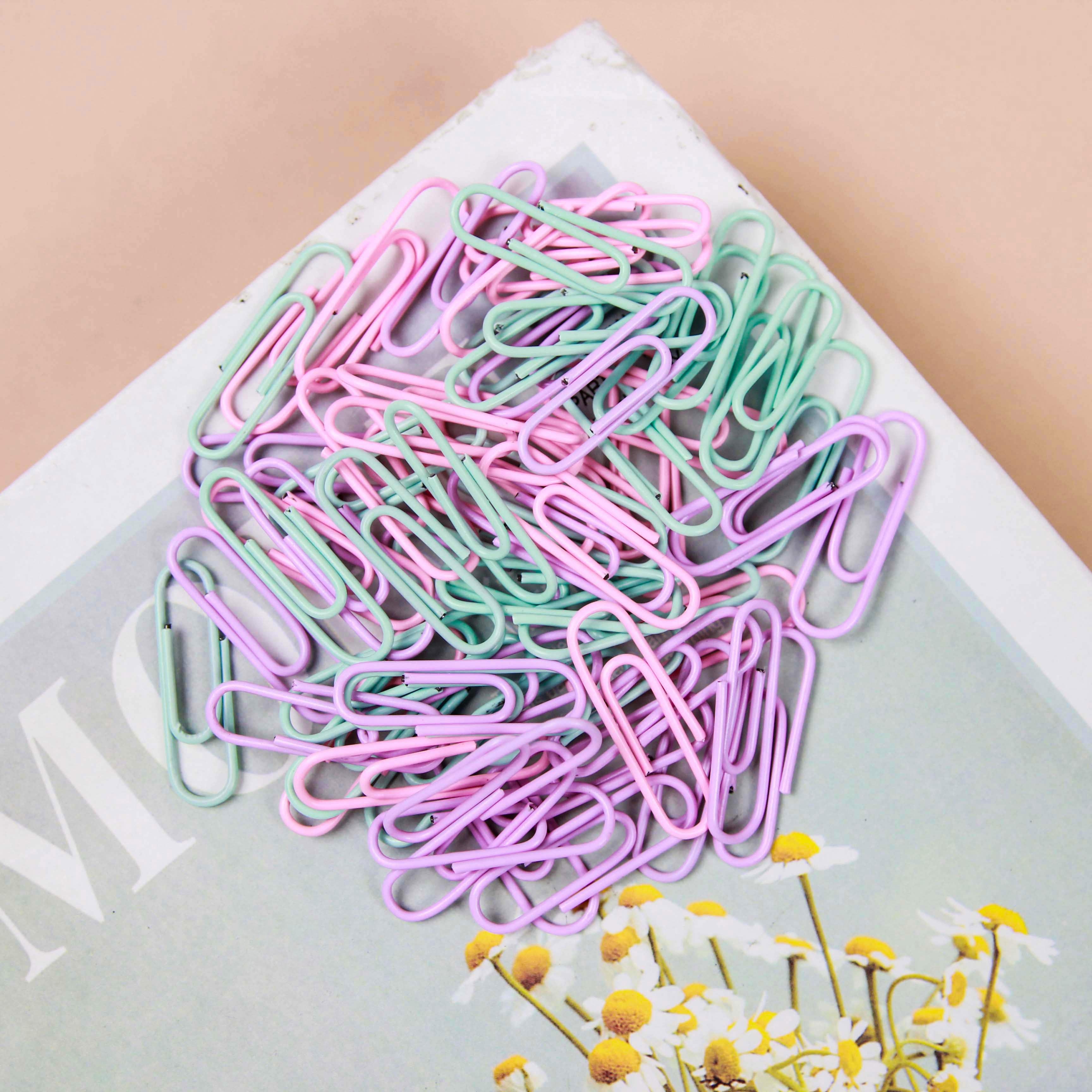 Y08 Clip de Papel Macaron (36g) 3